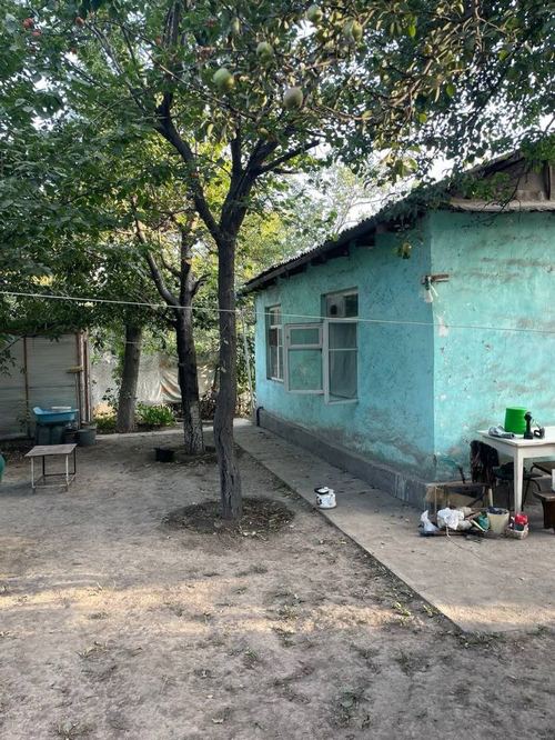 3-room house, 600 m²