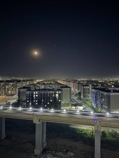 1-xonali kvartira, 41 m²