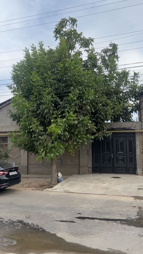 4-xonali uy, 600 m²