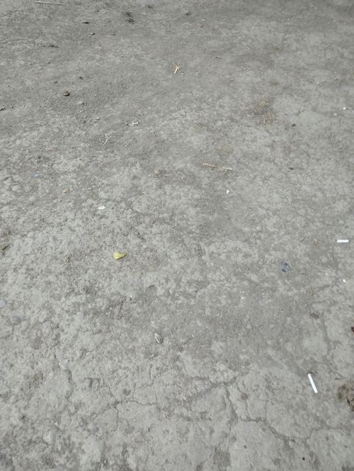 Yangi hayot, Toshkent, mahalla 2, 2.2 sotok yer sotiladi, kadastr bor