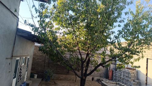 5-room house, 500 m²