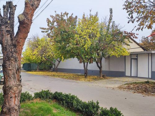 7-room house, 450 m²