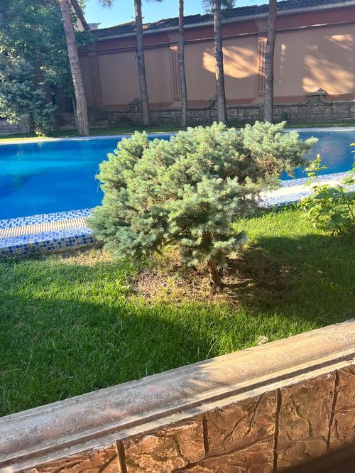12-xonali uy, 4100 m²