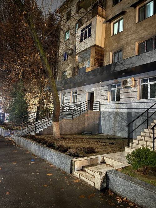 Нежилое помещение коммерческое первая линия Новомосковская