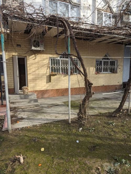3-xonali kvartira, 100 m²