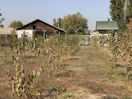 3-room dacha, 80 m²