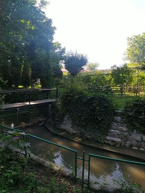 15-room house, 800 m²