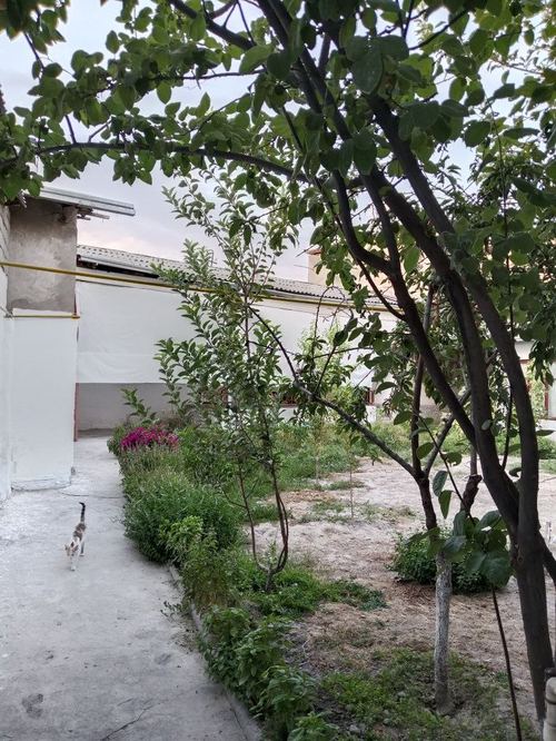 5-room dacha, 450 m²