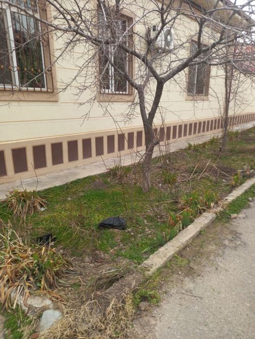 3-room cottage, 600 m²
