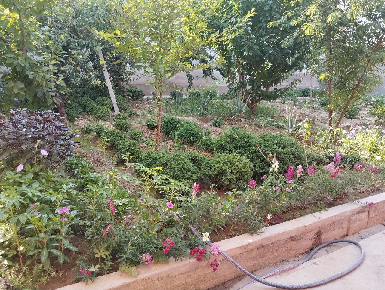 5-room house, 55 m², Tashkent, Shaykhantakhur District, for sale