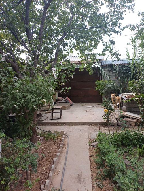 2-xonali dacha, 30 m²