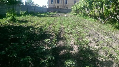 3-комнатный дом, 65 м²