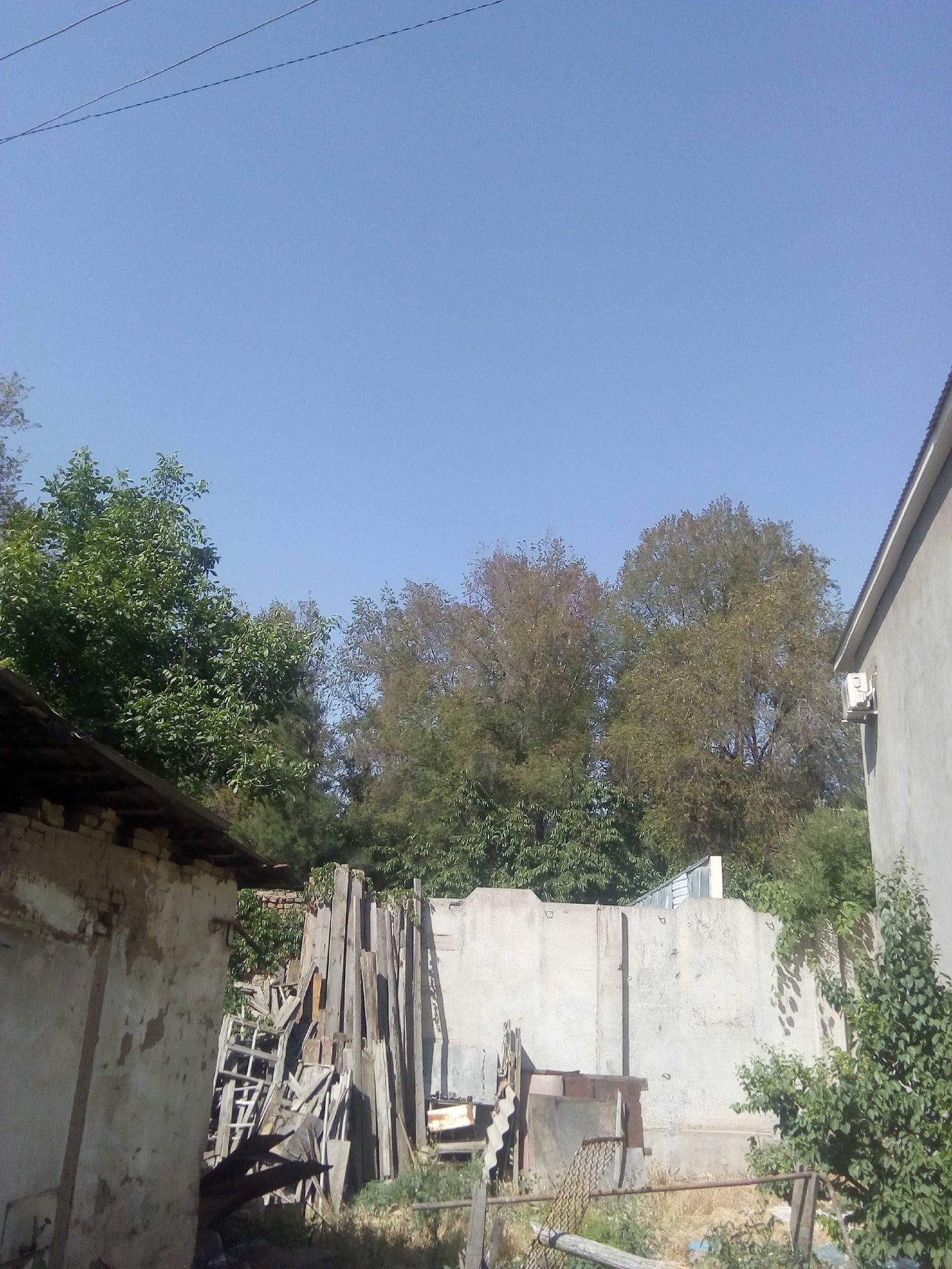2-room house, 24 m², Tashkent, Mirzo Ulugbek District, for sale