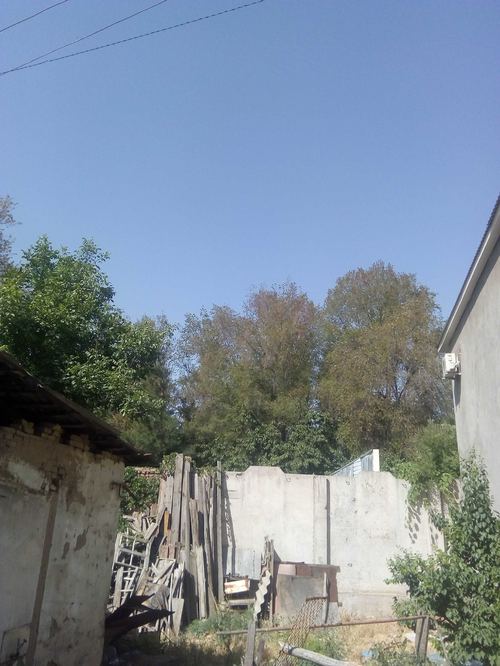2-room house, 24 m²