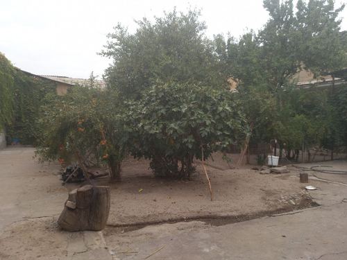 7-room house, 720 m²