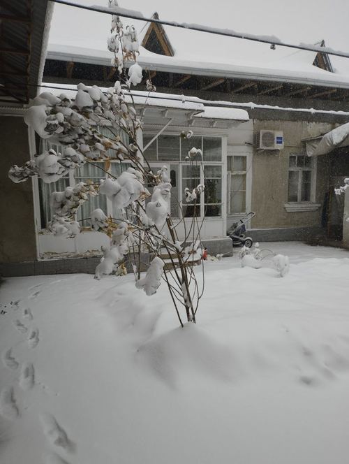 7-room house, 381 m²