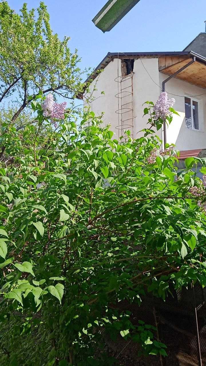 3-xonali uy, 83 m², Toshkent, Shayxontohur tumani, sotuvga