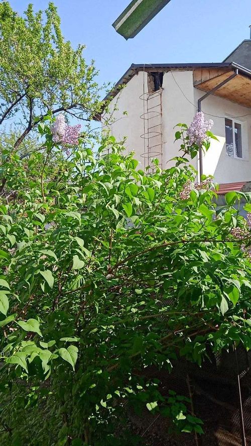 3-xonali uy, 83 m²