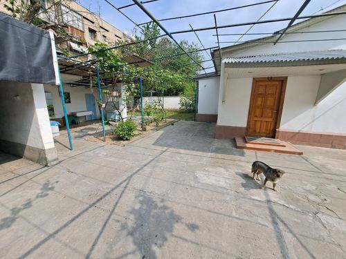 3-room house, 366 m²