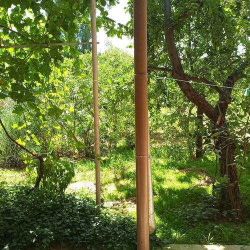 7-room house, 1000 m²