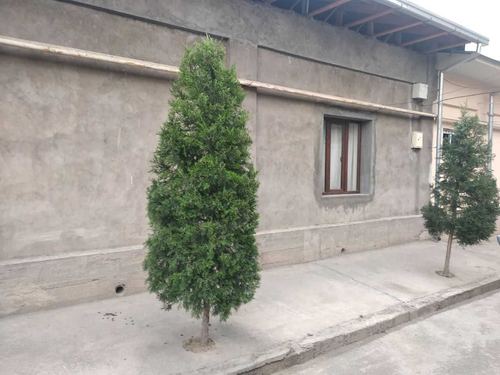 5-room house, 600 m²