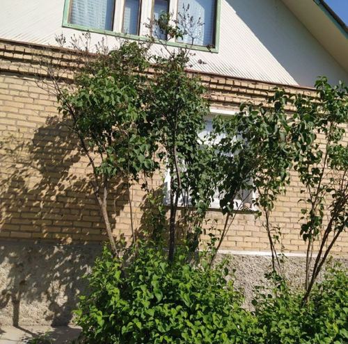 4-room house, 75 m²