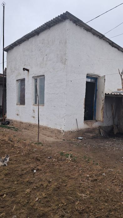 1-xonali uy, 20 m²