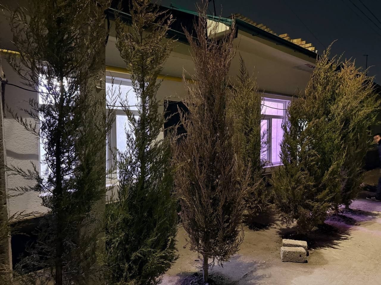 1-xonali uy, 30 m², Toshkent, Sergeli tumani, sotuvga