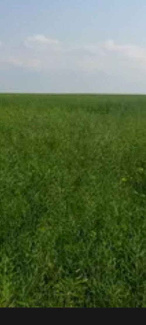 Пустая земля продается, 3 сотки, Бектемир (Яккабог)