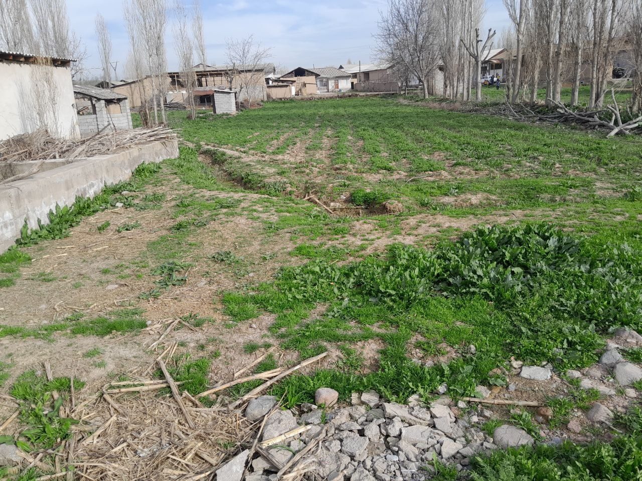 Продается 12 соток земли