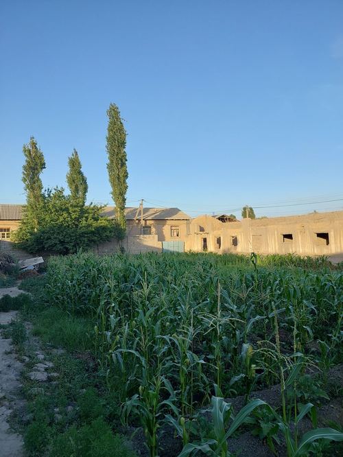 Land for sale, 4 sotok
