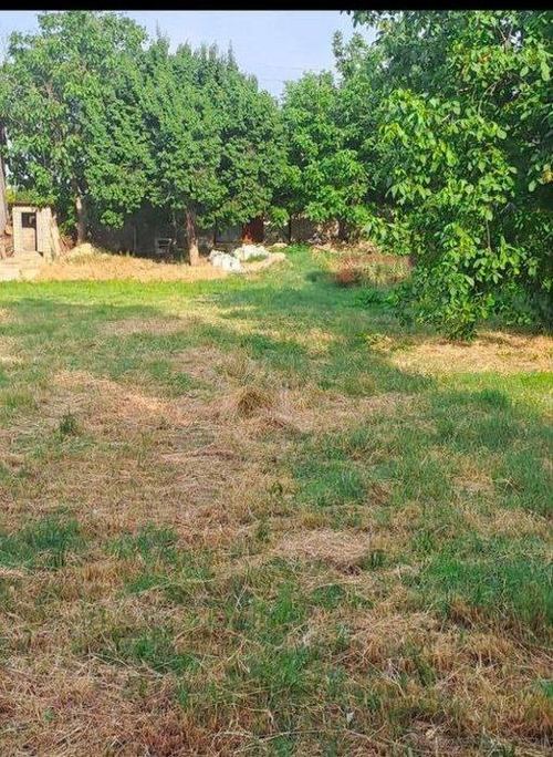 12 sotixli yer uchastkasi sotiladi, Qibray tumani