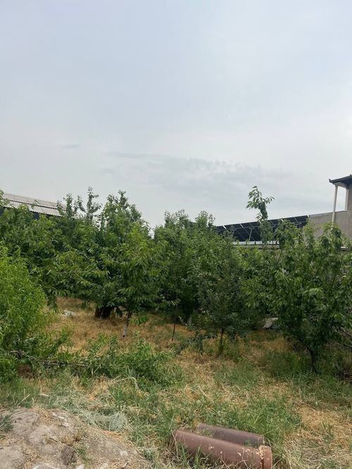 8 sotik yer maydoni sotiladi