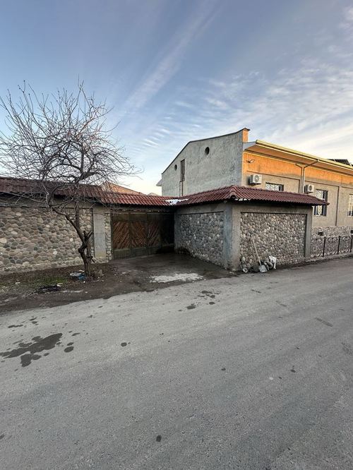 Zenit, Tiklanish 19 sot land