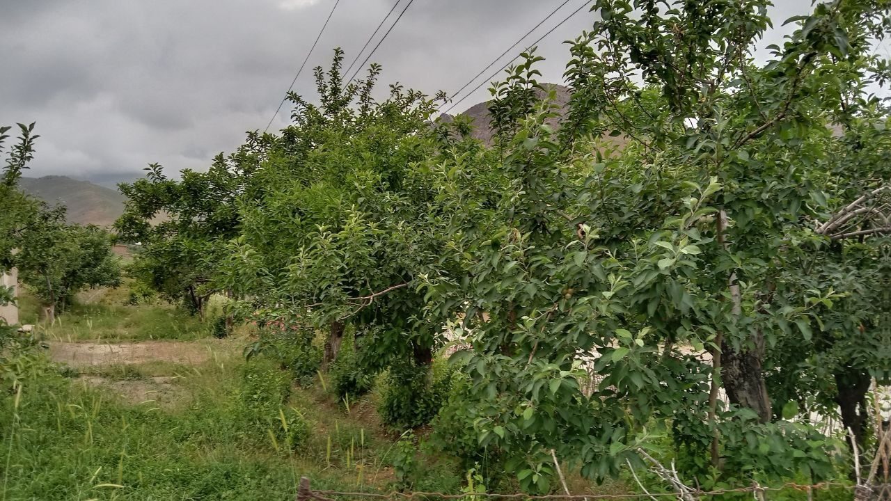 Land for sale Jizzakh