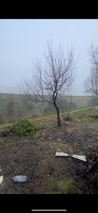Продается участок в Юнусабаде Тикланиш