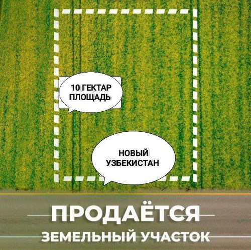 Land New Uzbekistan 10 hectares for sale!