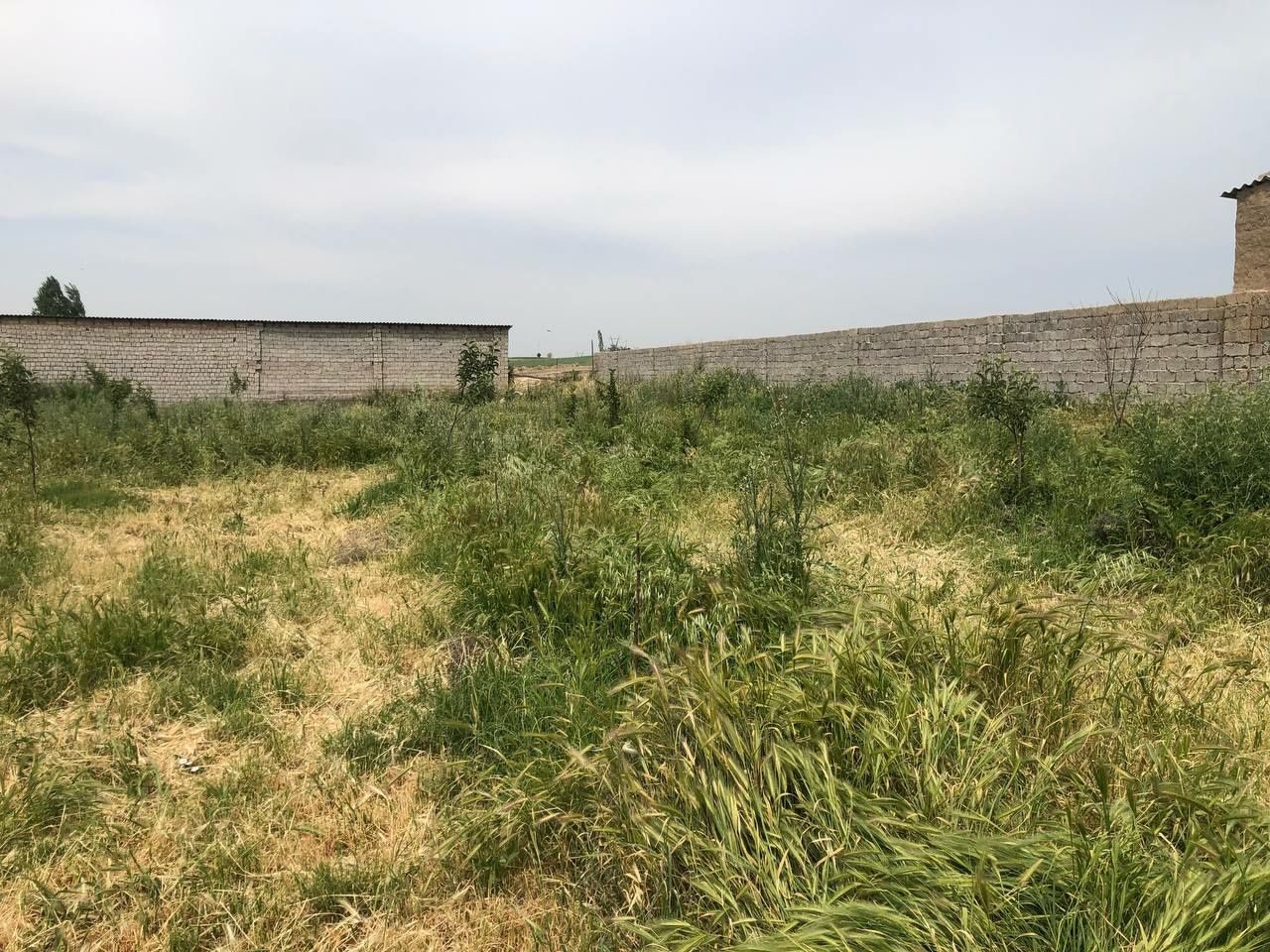 5 sotok land plot for sale