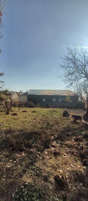 7 sotix yer sotiladi, Yangi O'zbekiston bog'iga to'g'risida