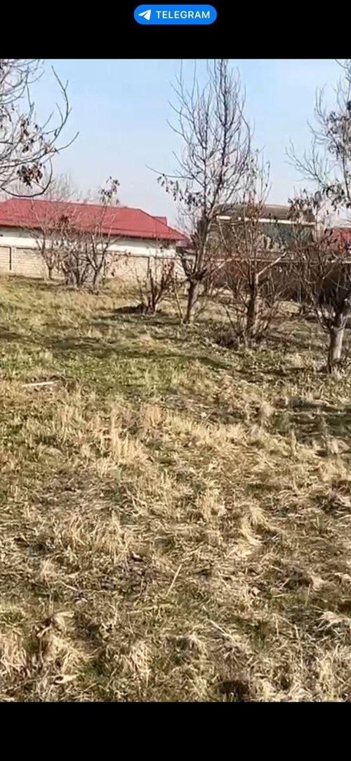Махалля Амира Темура под строительство