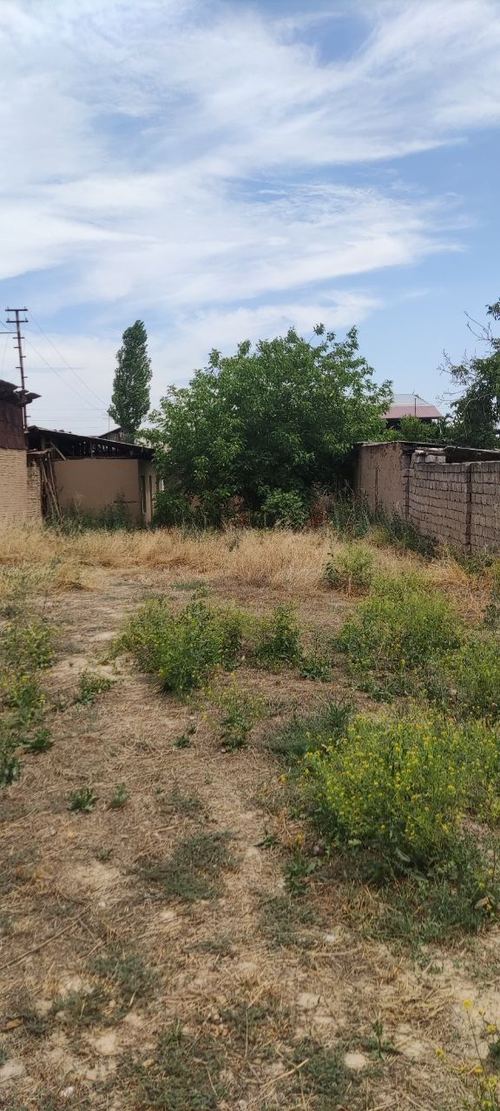 Срочно продается земля, адрес: Зангиота, район Эркин курилиш