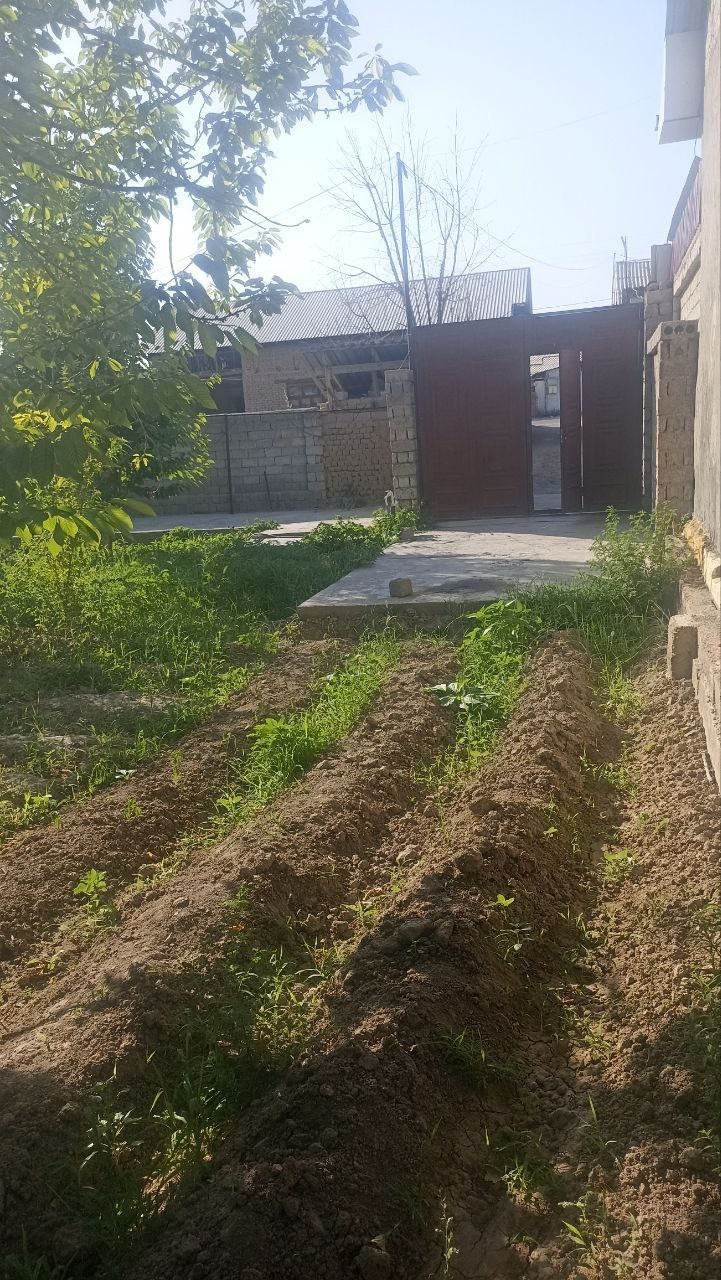 Barcha hujjatlar mavjud