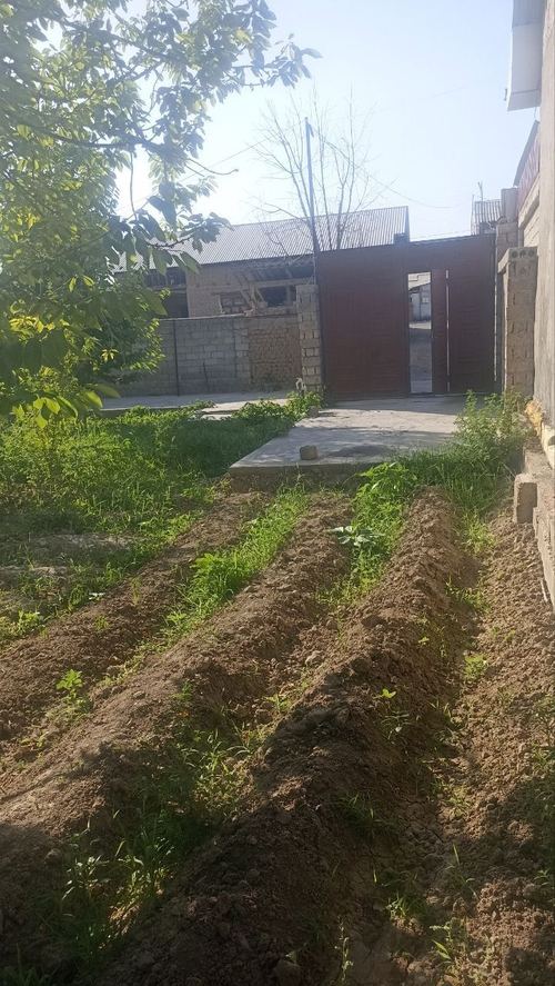 Barcha hujjatlar mavjud