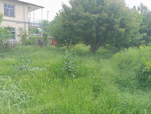 Продажа земельный участок СРОЧНО