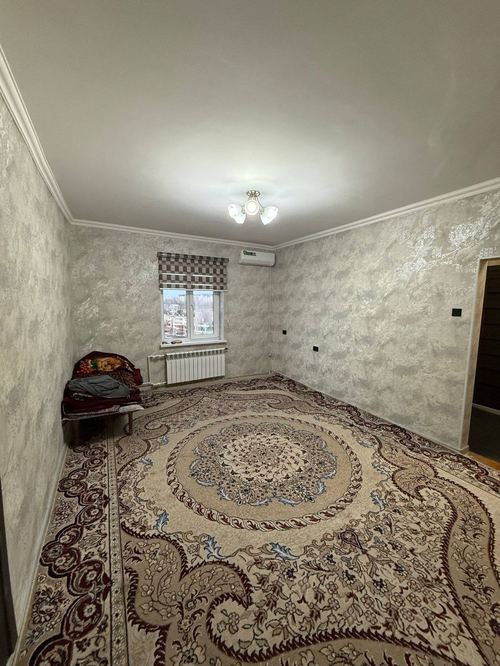 1-room apartment, 55 m²