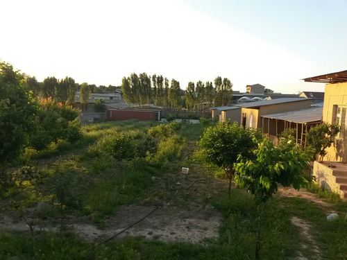Qibray tumani, Ungqurg'on MFYda yer sotiladi. 40 sot. Sot 12000 u.e.