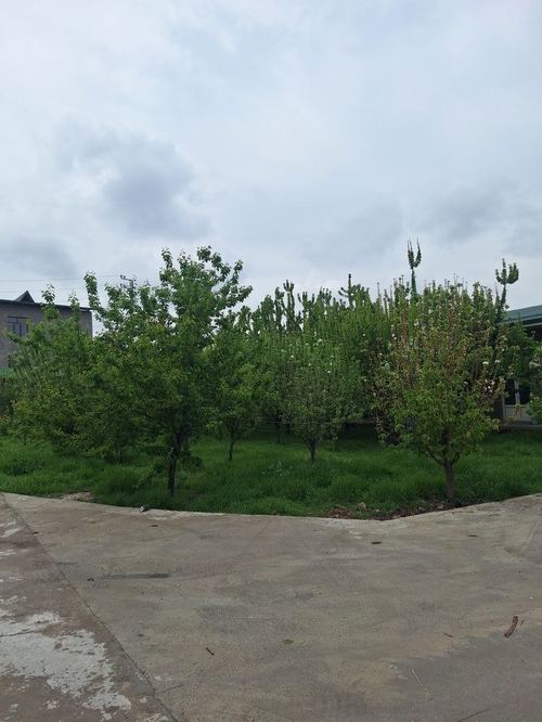 Сдается помещение Нижилой