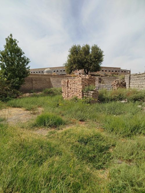Land plot. Sale or rent.