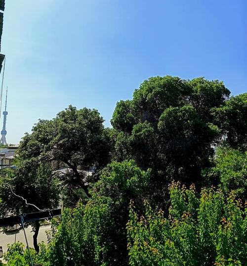 1-room apartment, 37 m²