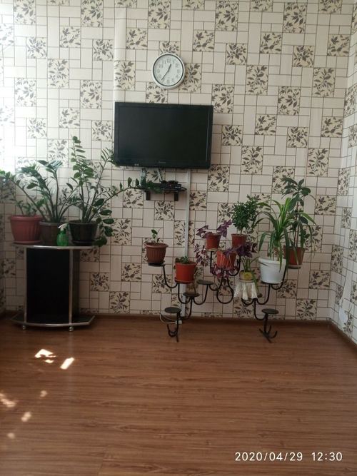 2-room apartment, 42 m²